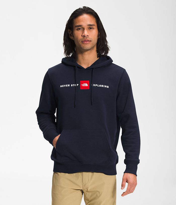 The North Face Mens Hoodie Red’s Pullover 180YEHQIL - Navy